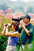 Birders - using binoculars and scope D 22088